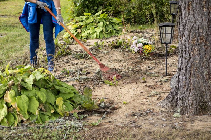 Site Preparation Service in Katy, TX