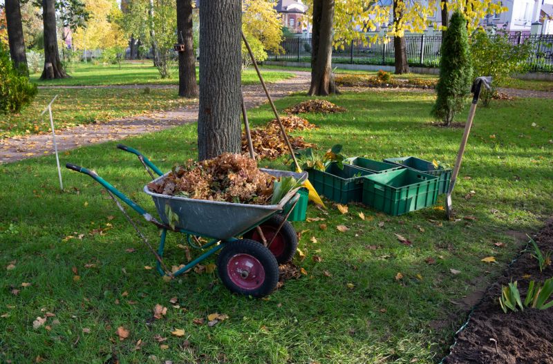 Brush Clearing Service in Houston, TX